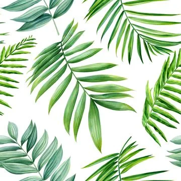 Tropical seamless pattern with green exotic palm tree. Summer floral watercolor Stock Illustration