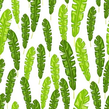 Tropical seamless pattern with green tropic leaf silhouettes. White backgroun Illustrazione stock