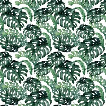 Tropical seamless pattern with jungle leaves. Exotic leaves illustrations pal Stock Illustration