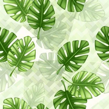 Tropical seamless pattern with leaf monstera.Fabric wallpaper print texture.f イラスト素材