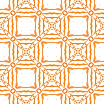 Tropical seamless pattern. Orange authentic boho 스톡 일러스트