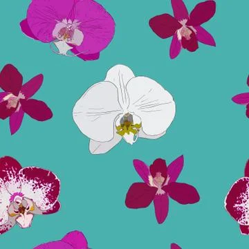 Tropical seamless pattern with orchids flowers. Tropic floral wallpaper . Stock Illustration