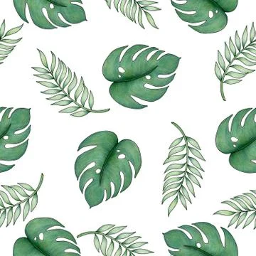 Tropical seamless pattern with palm leaf and monstera leaf Stock Illustration
