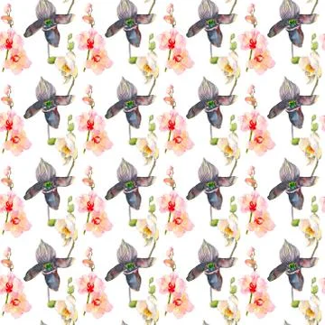 Tropical seamless pattern with pink and black orchids flowers. Tropic floral Stock Illustration