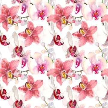 Tropical seamless pattern with pink orchids flowers. Tropic floral wallpaper Stock Illustration