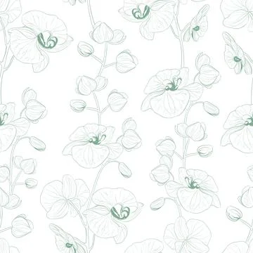 Tropical seamless pattern on white background. Stock Illustration