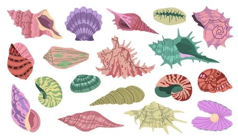 Tropical seashell. Beach color shells, underwater mineral elements, patterned Stockillustratie