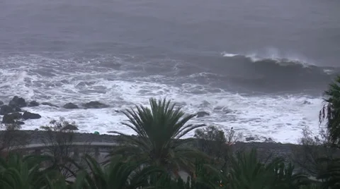 Tropical seashore in the storm 動画素材 53083823