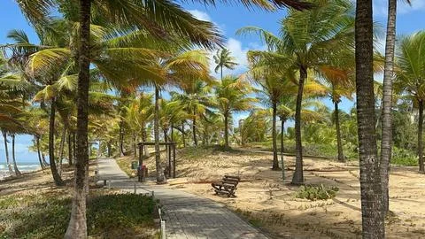 Tropical Seaside Path Stock Photos