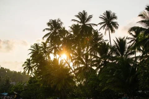 Tropical seaside Stock Photos