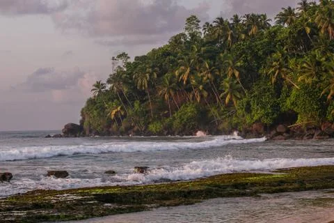 Tropical seaside Stock Photos