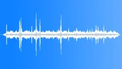Tropical Seasonal Forest Atmosphere Sound Effect