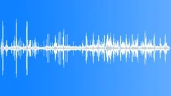 Tropical Seasonal Forest Atmosphere Sound Effect