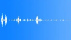 Tropical Seasonal Forest Atmosphere Sound Effect