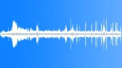 Tropical Seasonal Forest Atmosphere Sound Effect