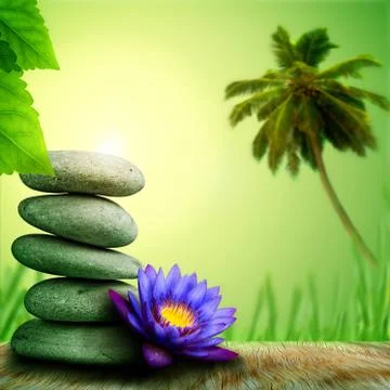 Tropical serenity Stock Illustration