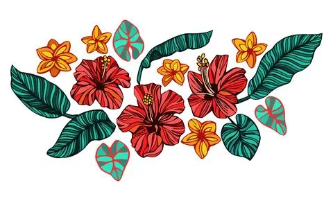 Tropical set and hand drawn summer flowers and leaves Stock Illustration