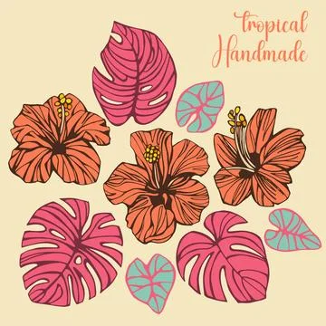 Tropical set and hand drawn summer flowers and leaves Stock Illustration