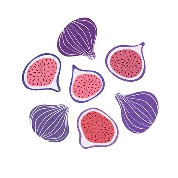 Tropical set with violet figs and fig slices. Stock Illustration