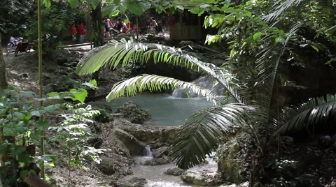 Tropical setting Stock Footage 39978525