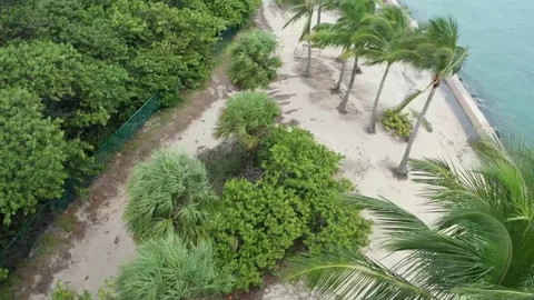 Tropical setting Video stock 143453078