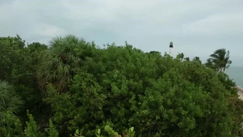 Tropical setting Video stock 143453090