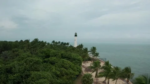 Tropical setting Video stock 143453092