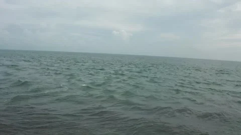 Tropical setting Video stock 143453112