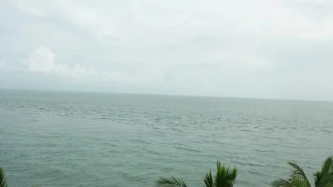 Tropical setting Video stock 143453161