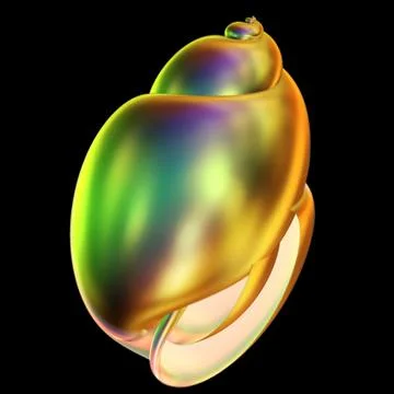 Tropical shell Stock Illustration