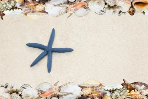 Tropical shells ans starfish on a beach Foto stock