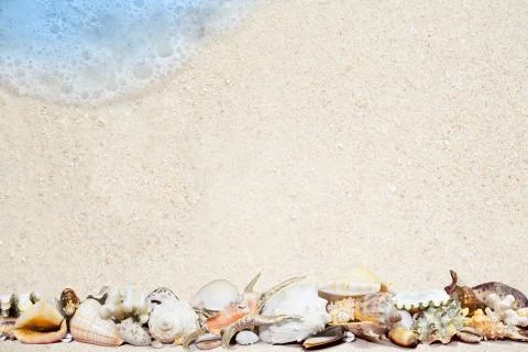 Tropical shells on a sandy beach Foto stock