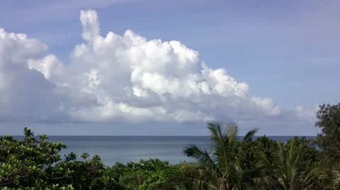 Tropical shore and cloudscape Stock Footage 24696674