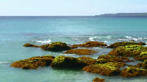 Tropical shore and waves Stock Footage 333948