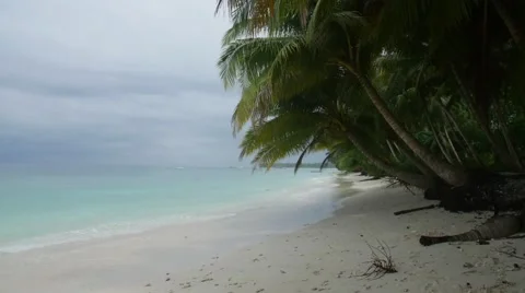 Tropical Shoreline timelapse Stock Footage 56190167