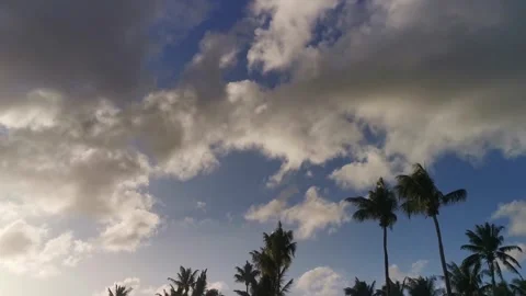 Tropical Skies Stockbeeldmateriaal 333299457