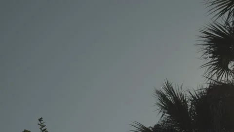 Tropical sky Stock Footage 171087705