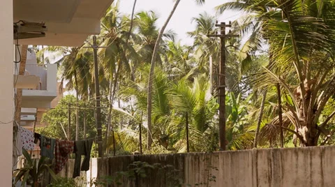 Tropical slums Stock Footage 37449371