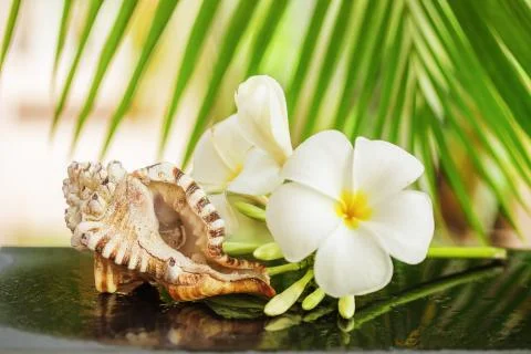 Tropical spa concept Stock Photos