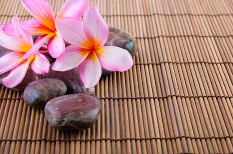 Tropical spa Stock Photos