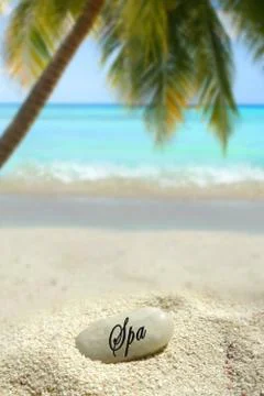 Tropical spa stone Stock Photos