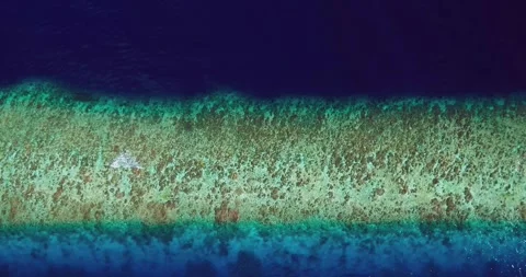 Tropical Split Water Ocean Background Aerial Top View Stock Footage 335647115
