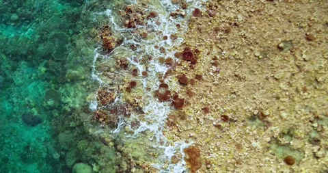 Tropical Split Water Reef Line Aerial Background Texture Stock Footage 335647077