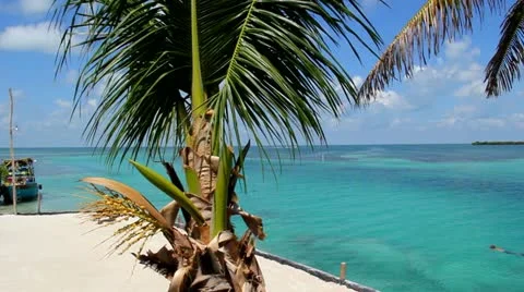 Tropical Spot 스톡 동영상 12016830