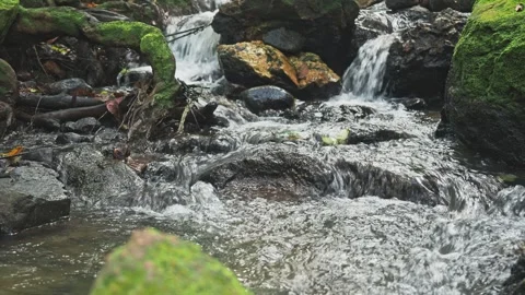 Tropical spring is streaming between stones Stock Footage 331428404