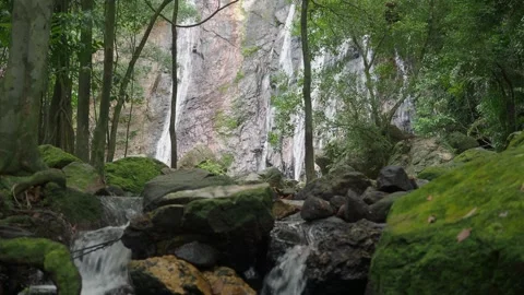 Tropical spring with the waterfall on background in jungle Stock Footage 331762778