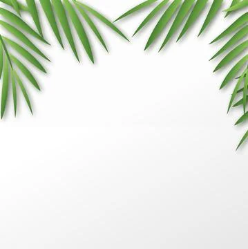 Tropical square frame with palm tree leaves. Vector Stock Illustration