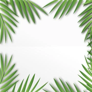 Tropical square frame with palm tree leaves. Vector Illustrazione stock