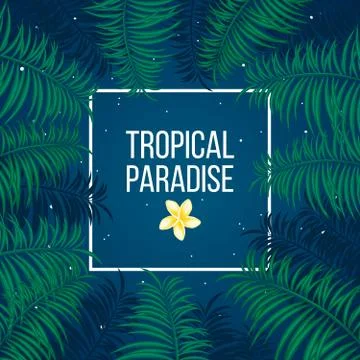 Tropical starry night paradise background template Stock Illustration