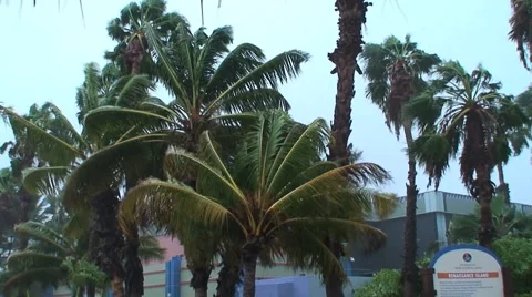 Tropical storm Aruba island in the caribbean Stock Footage